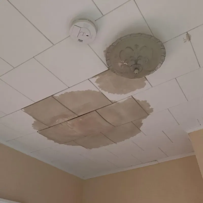 Ceiling Water Damage Repair in Baytown, TX
